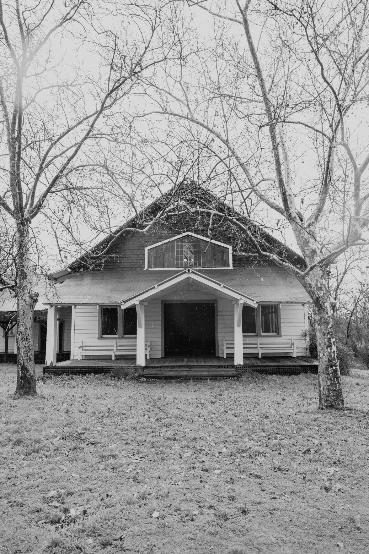 Aetna Springa BW
